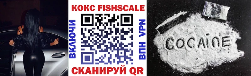 Кокаин FishScale где купить наркоту Волхов