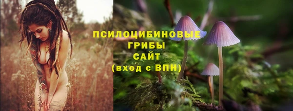 мефедрон Приозерск