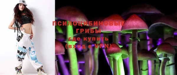 винт Арсеньев