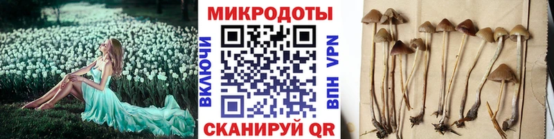 Галлюциногенные грибы GOLDEN TEACHER  гидра как зайти  Волхов  как найти наркотики 